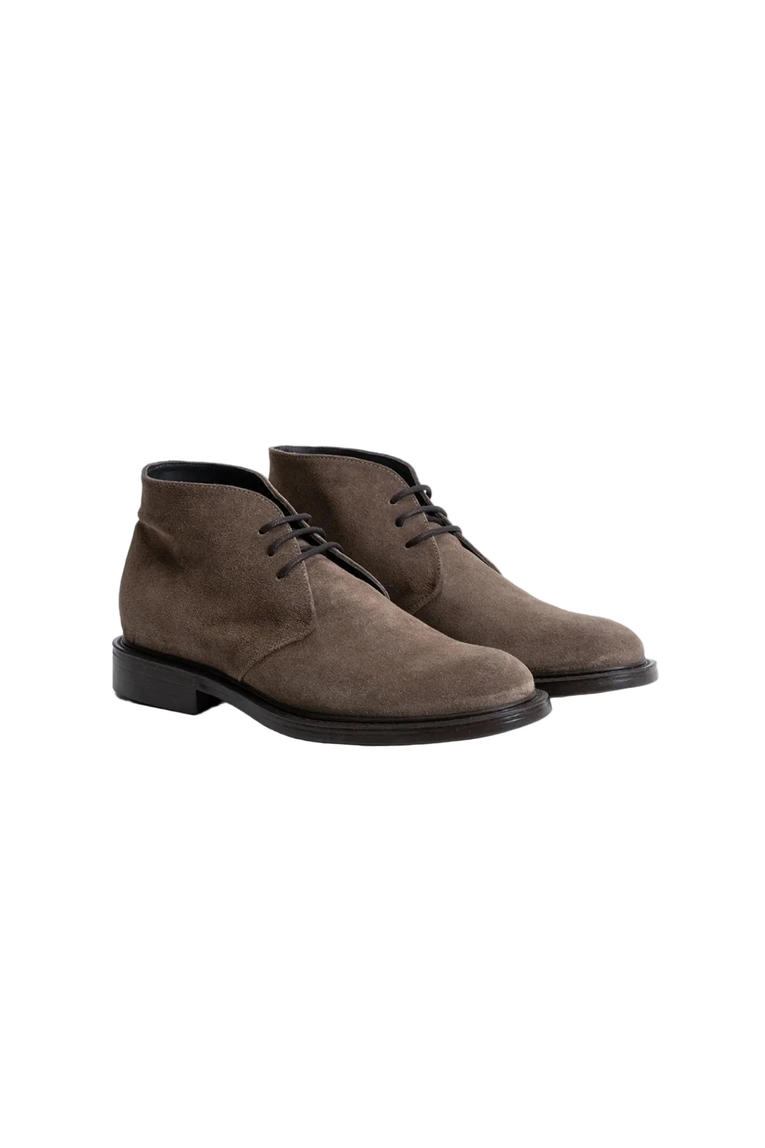 NICKY SUEDE CHUKKA BOOT Sassanova / Novaman