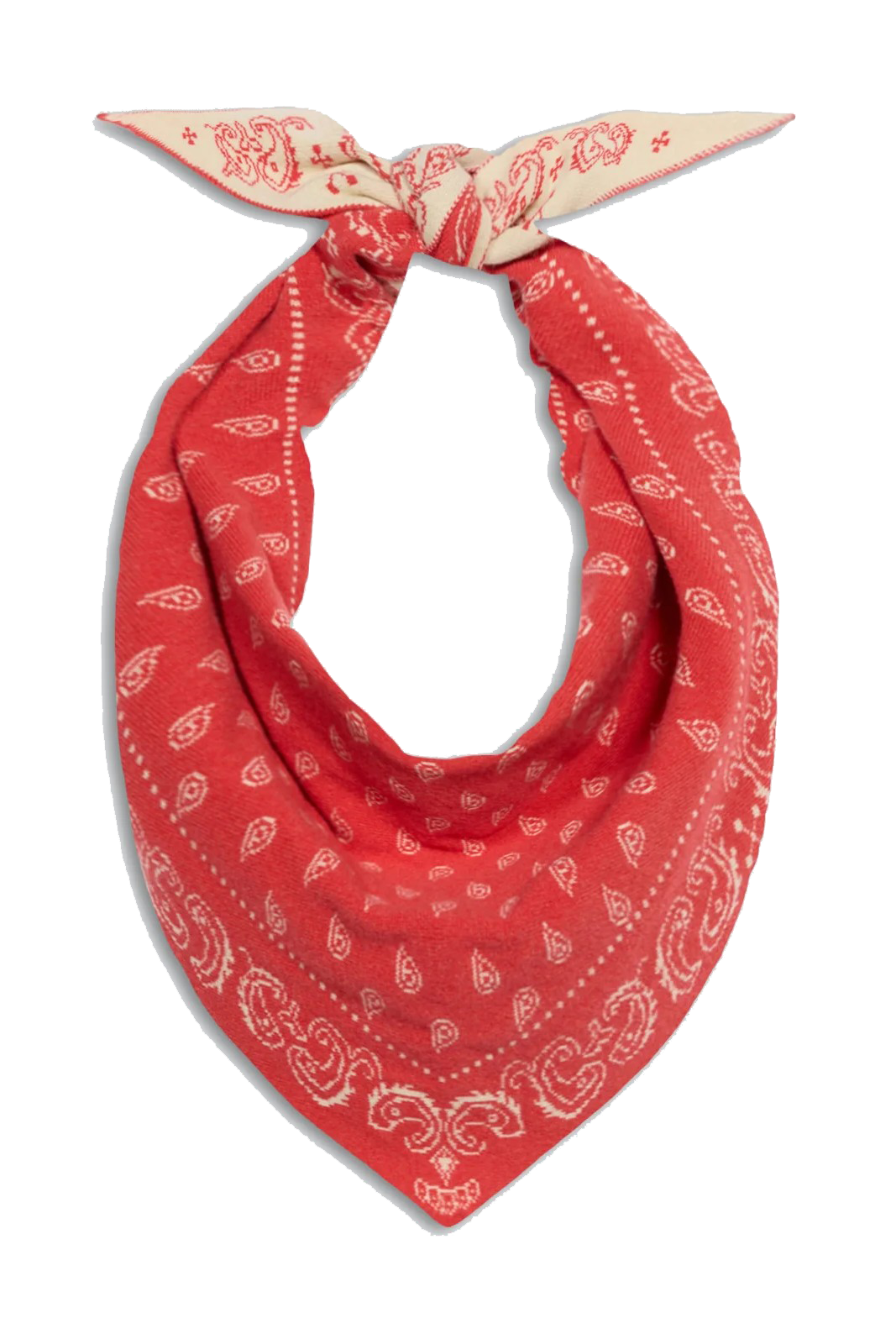 THE WILD RAG - Scarves - Sassanova