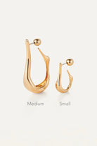 COLETTE HOOPS
sassanova