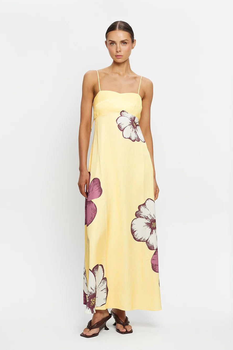 Dresses  Sassanova / Nova Man