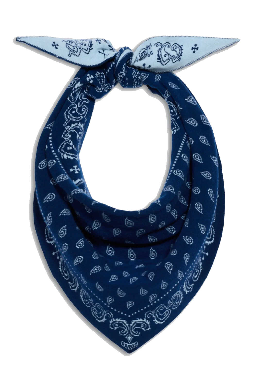 THE WILD RAG - Scarves - Sassanova