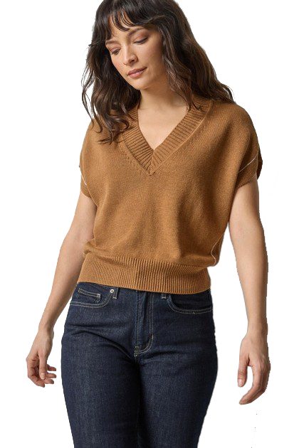 V-NECK WEDGE SWEATER (PA3213) - Sassanova