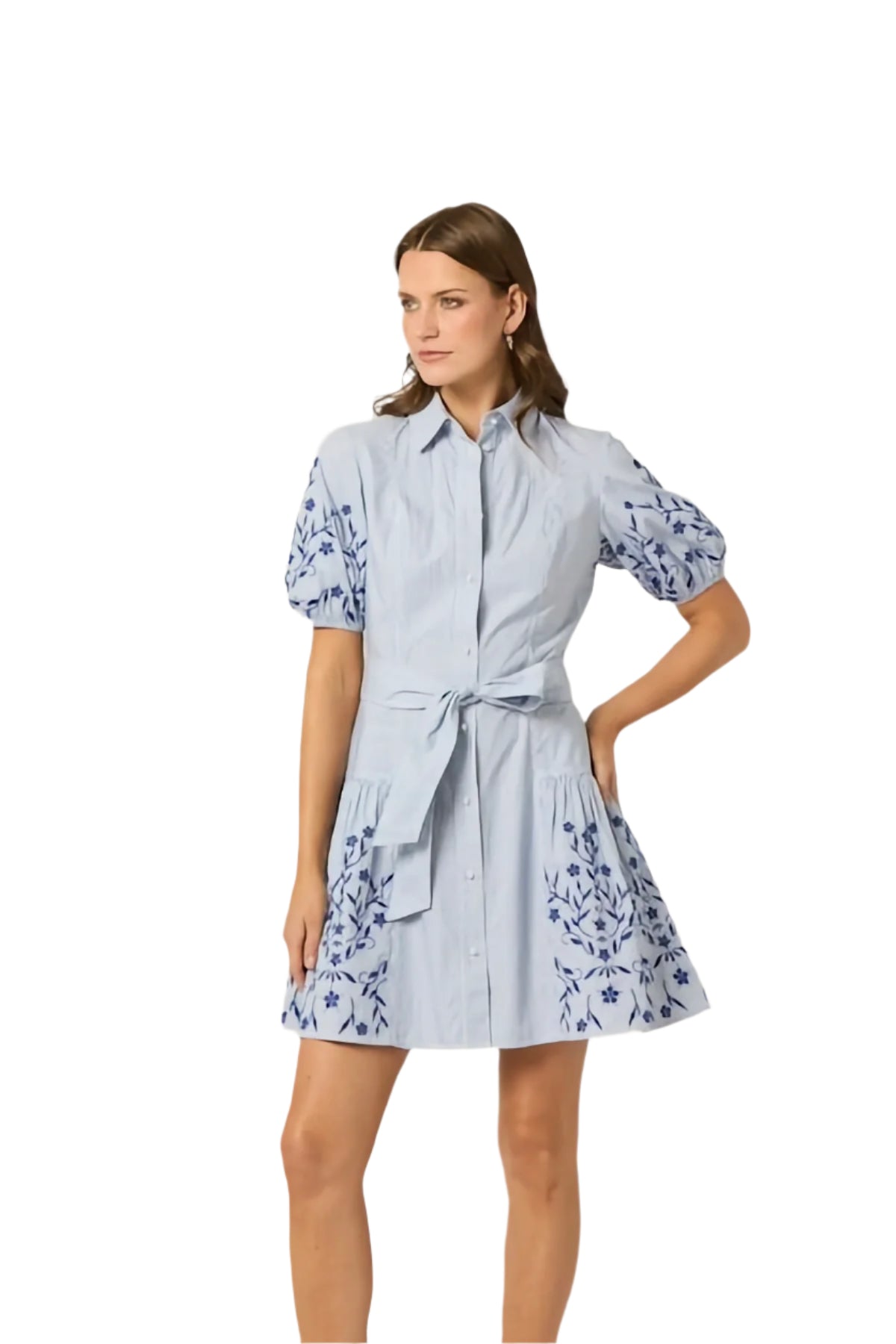 DANIKA DRESS
sassanova